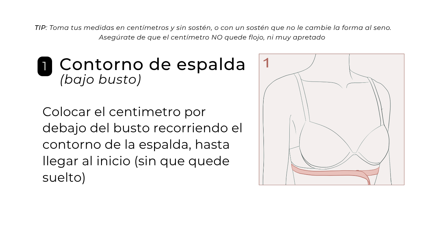 Contorno Espalda