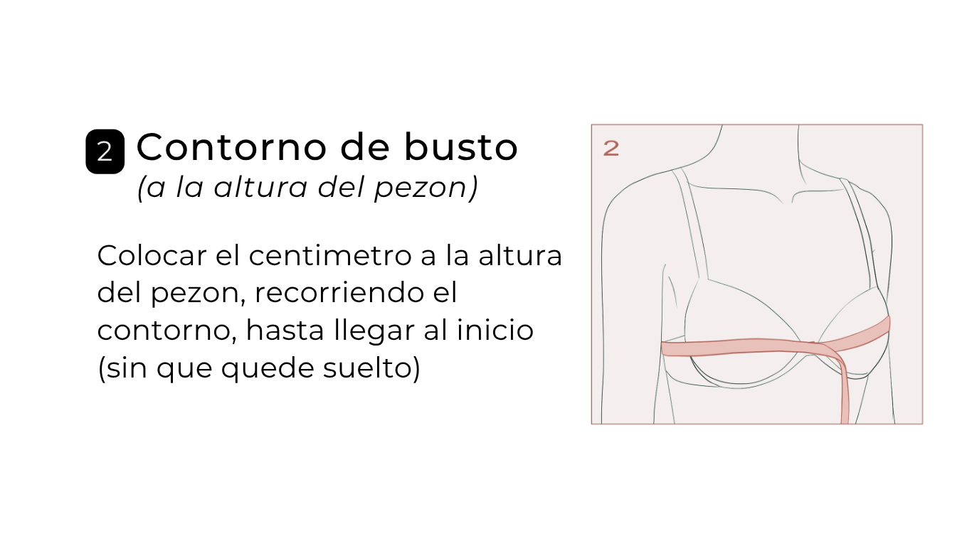 Contorno Busto