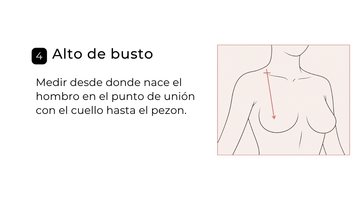 Altura Busto